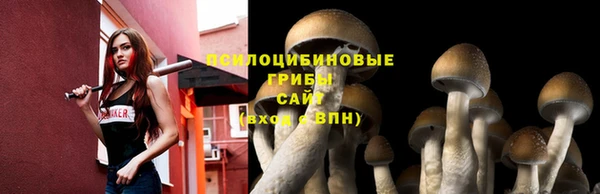 метадон Корсаков