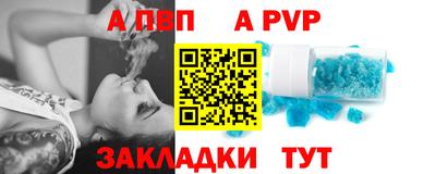 индика Донской