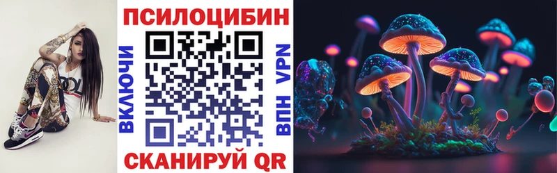 хочу   Североморск  Псилоцибиновые грибы Cubensis 
