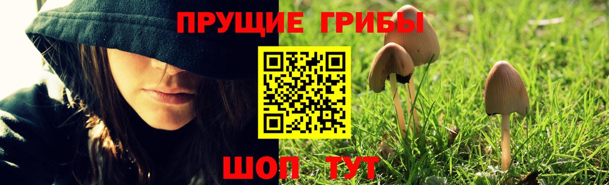Псилоцибиновые грибы мицелий  Вход с VPN  купить наркотик  Североморск 
