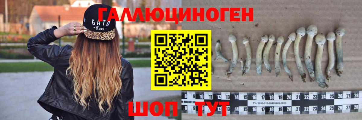 МЕТАМФЕТАМИН  Вейп ТГК  Североморск  Героин  Вход с VPN  ГАШИШ  Alpha PVP СК   Экстази  Мефедрон кристаллы 